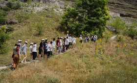A line of Ukrainian and Moldovan youth climbing up the mountain path with eyes closed in a team-building exercise